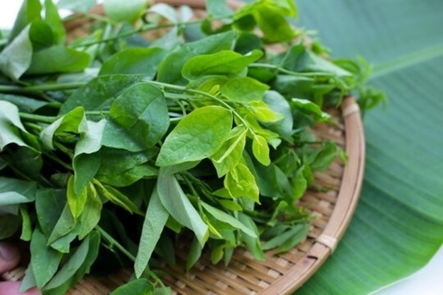 cay thuoc sieu bo la loai rau, san o cho que, nhieu nguoi hay an ma khong biet hinh anh 1