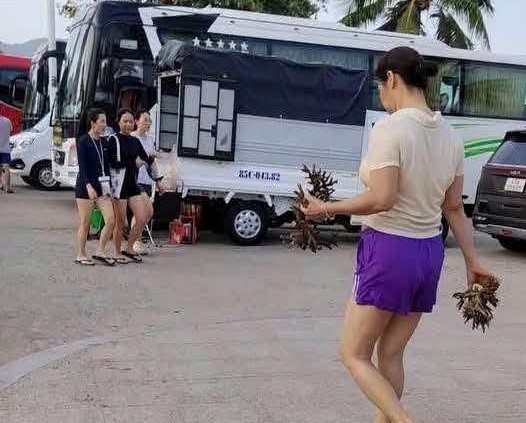 xac minh vu nhat, be san ho tai vinh nha trang hinh anh 2