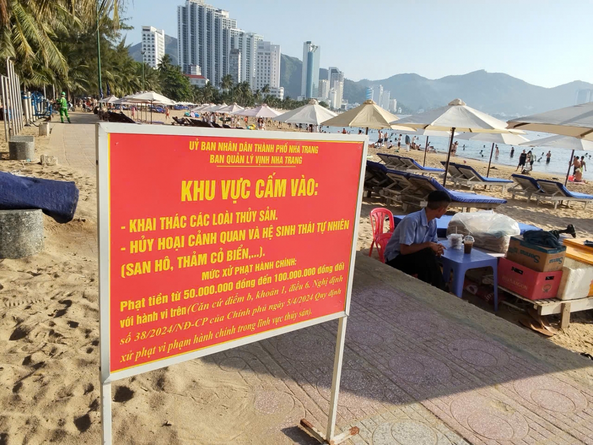 xac minh vu nhat, be san ho tai vinh nha trang hinh anh 3
