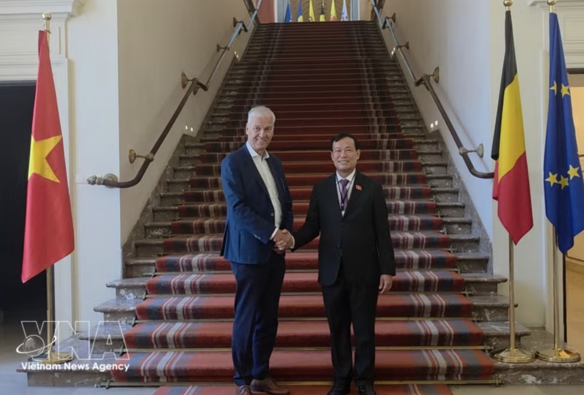 vietnam, belgium boost parliamentary cooperation, deepen bilateral relations picture 1