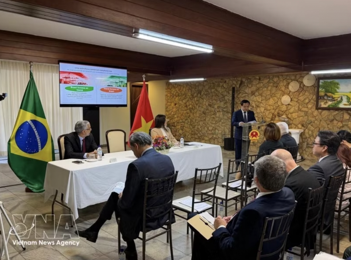 vietnam, brazil seek ways to promote trade, investment cooperation picture 1