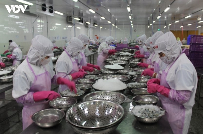 china overtakes us as top market for vietnamese seafood exports picture 1