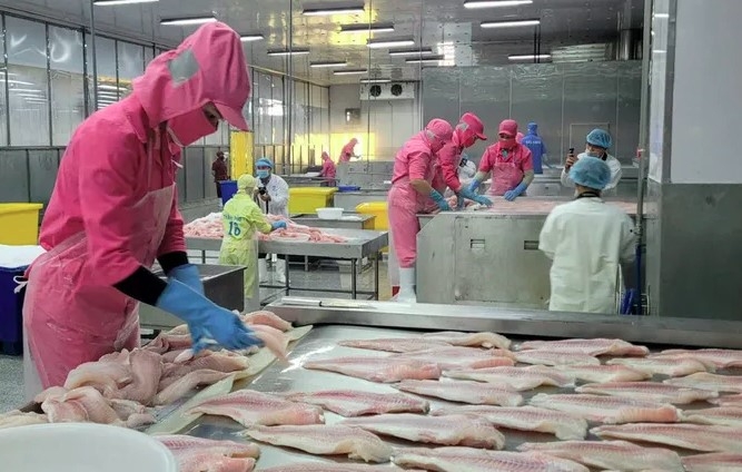 tilapia exports jump 67 in h1, brazil becomes top consumer picture 1