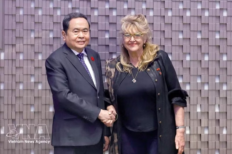 honorary consuls help extend vietnam s diplomatic reach in new era deputy fm picture 1