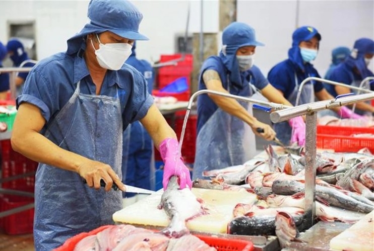 seafood-exports-vov.jpg