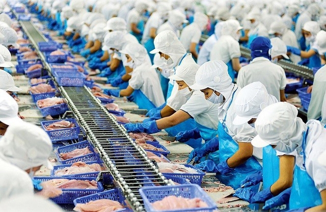 vietnam seafood exports rise 12.8 in h1, china leads growth picture 1
