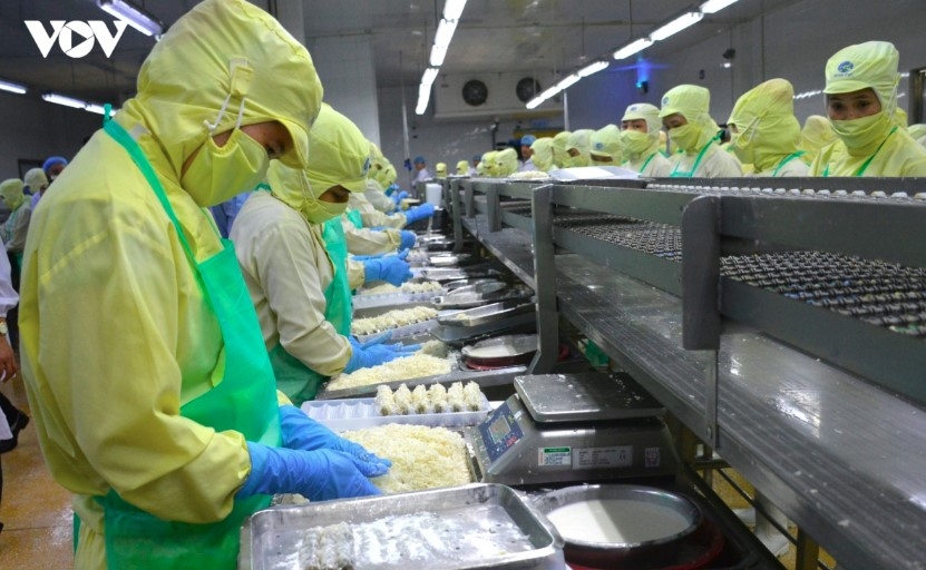 shrimp exports gain momentum as china demand soars picture 1