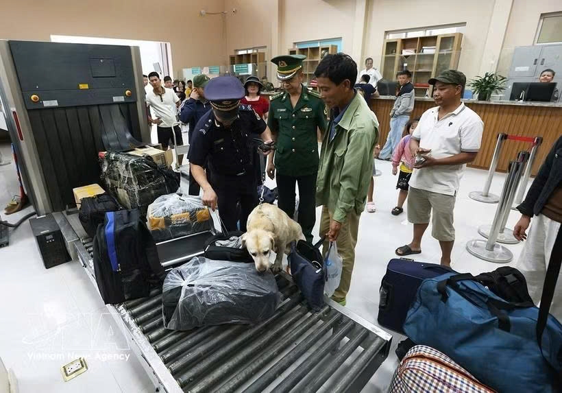 nearly 20,000 smuggling, counterfeit cases handled in h1 picture 1