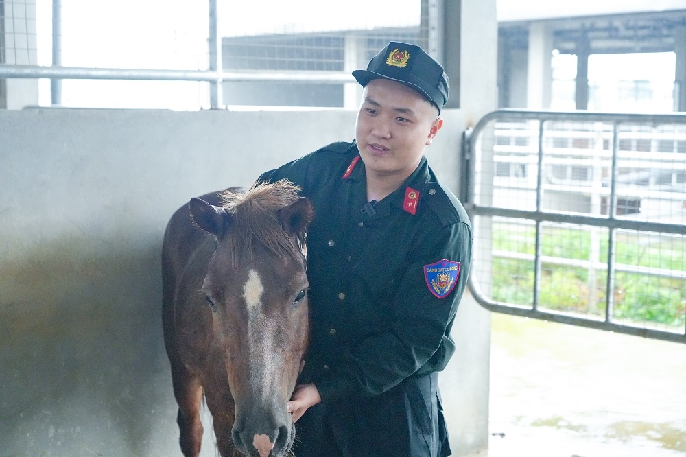cuoc chuyen giao day cam xuc giua hai the he ngua ky binh hinh anh 3