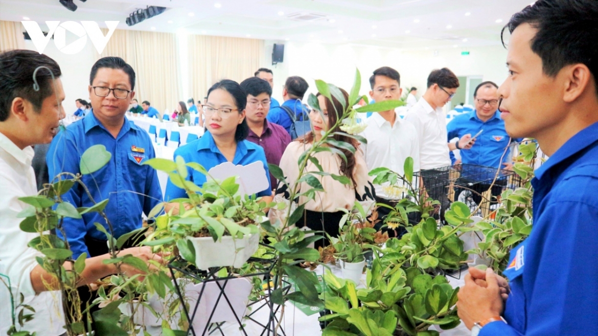 Den 2030, it nhat 25 doanh nghiep khoi nghiep moi do thanh nien lam chu hinh anh 1