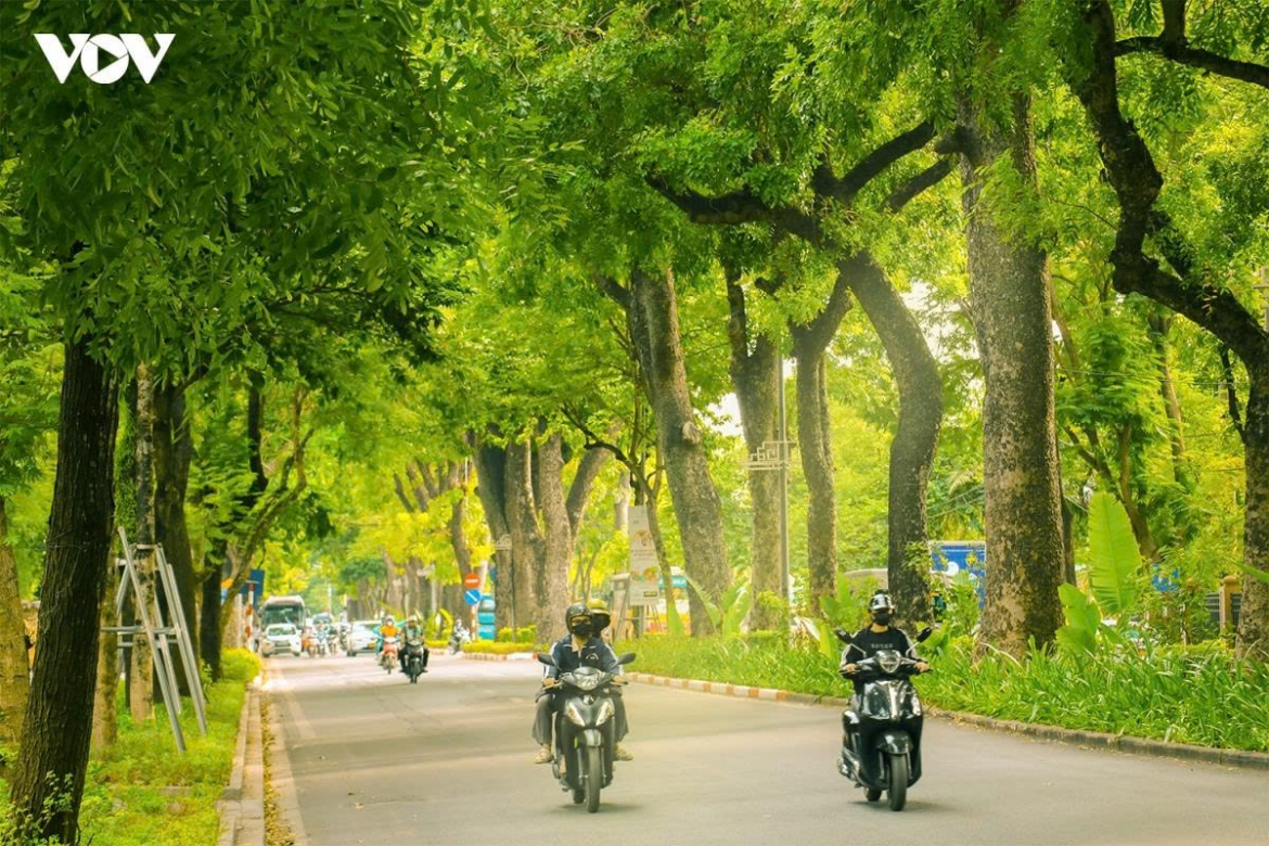 thoi tiet hom nay 16 7 bac bo co mua dong cuc bo hinh anh 1