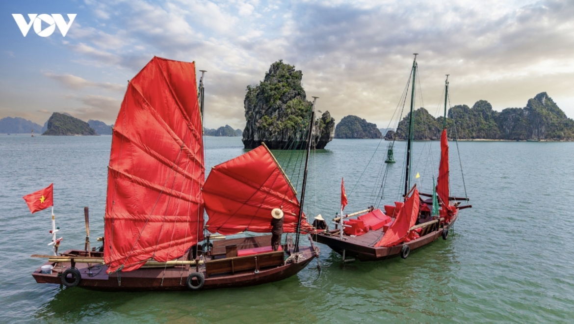 ha long bay to launch sunrise tour aboard three-panel sailboats picture 1