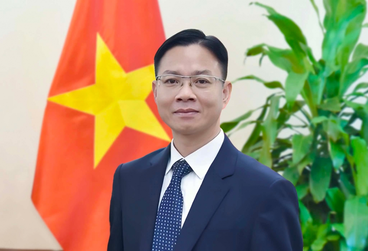 Doi moi doi ngoai nhan dan, kien tao suc manh tong hop cua ngoai giao viet nam hinh anh 1