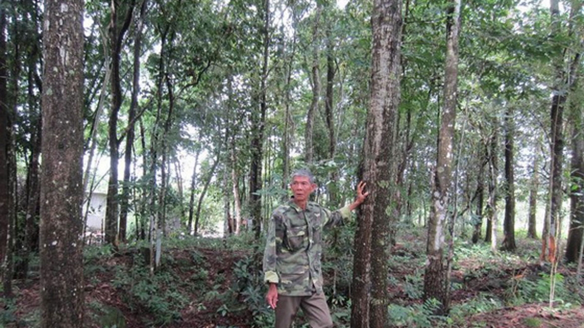 giua thoi binh, nguoi anh hung tien phong hien dat vang mo duong hinh anh 1