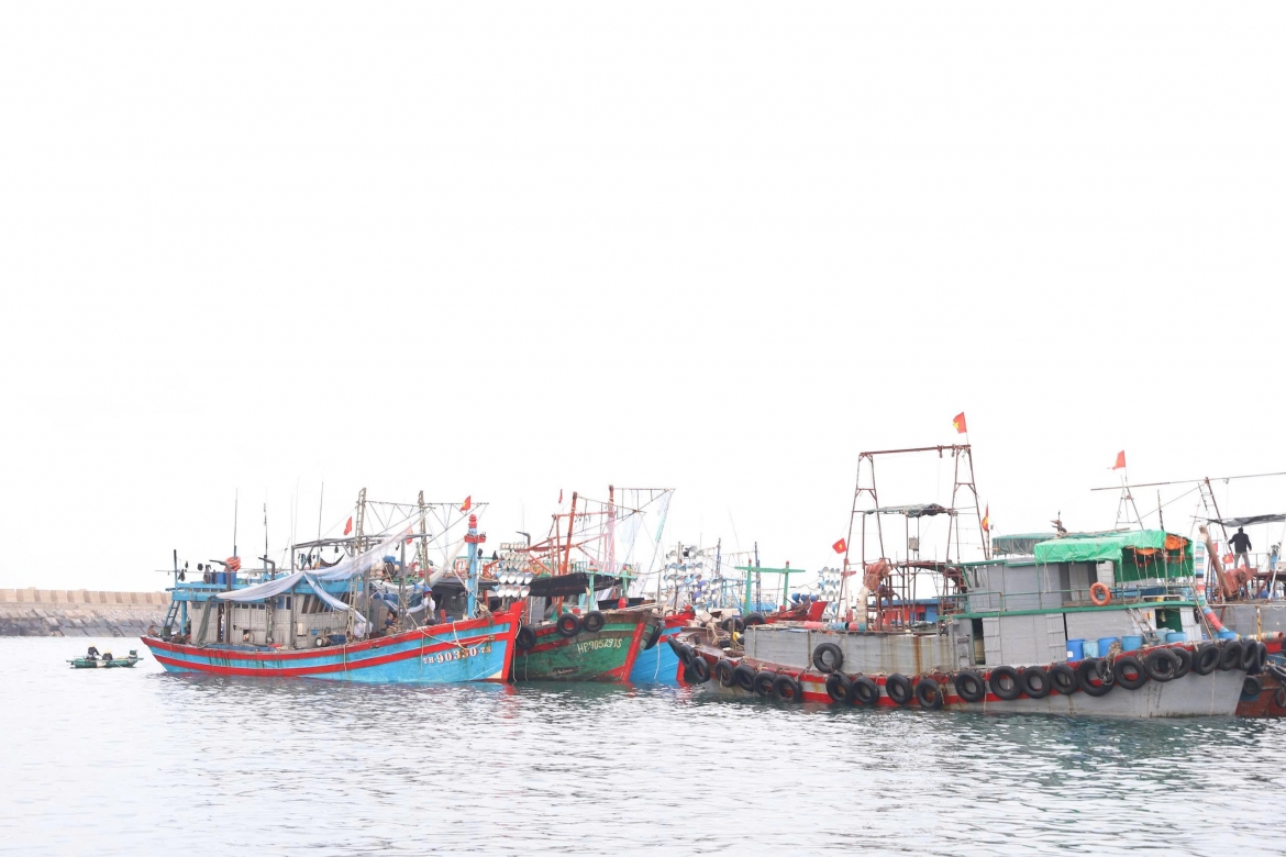 hai phong khan truong trien khai cac bien phap ung pho bao so 1 hinh anh 1