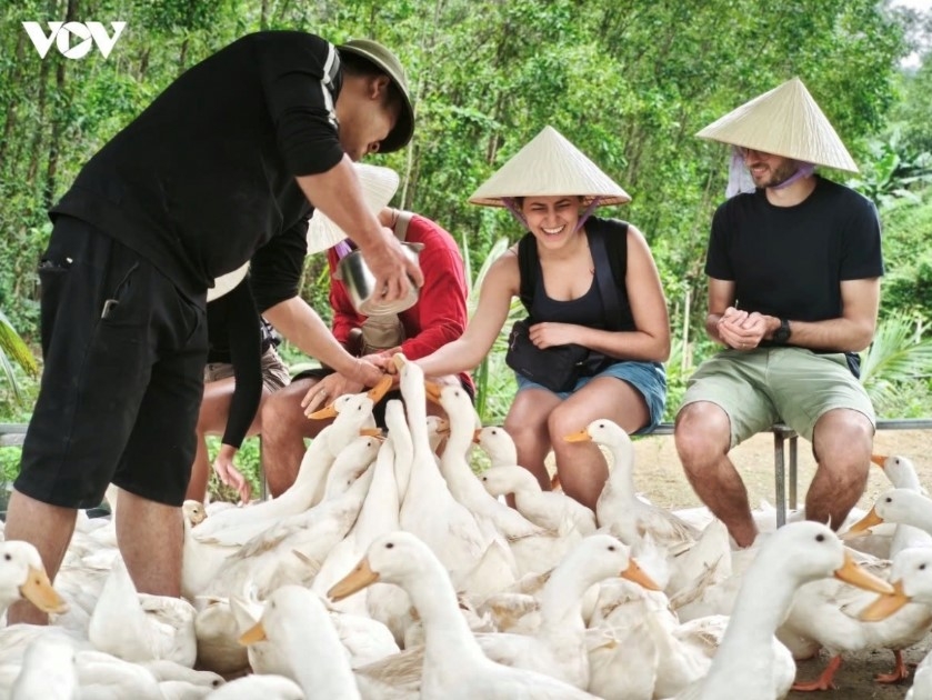 data demonstrates vietnam s human rights achievements picture 1