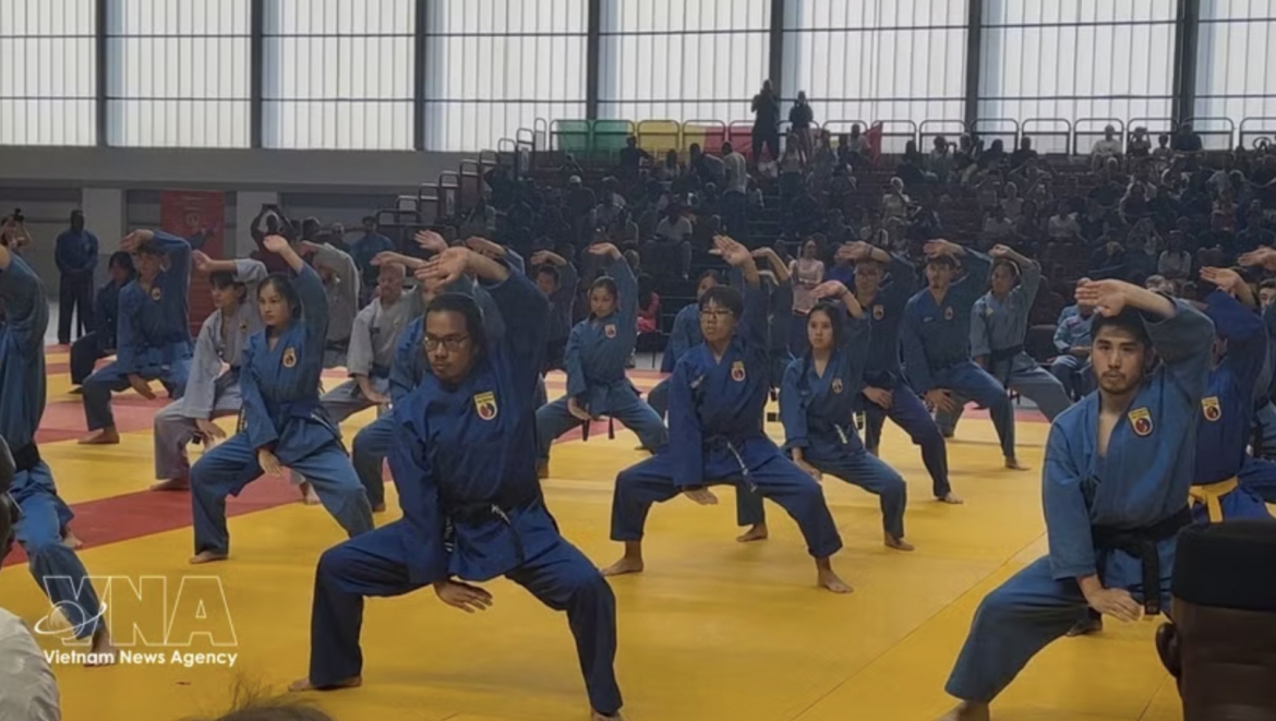 vovinam marks 30 years of global growth with world championship in paris picture 1