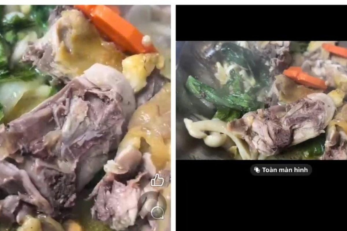 moi chu co so nau an bi to co gioi trong thuc an len lam viec hinh anh 1