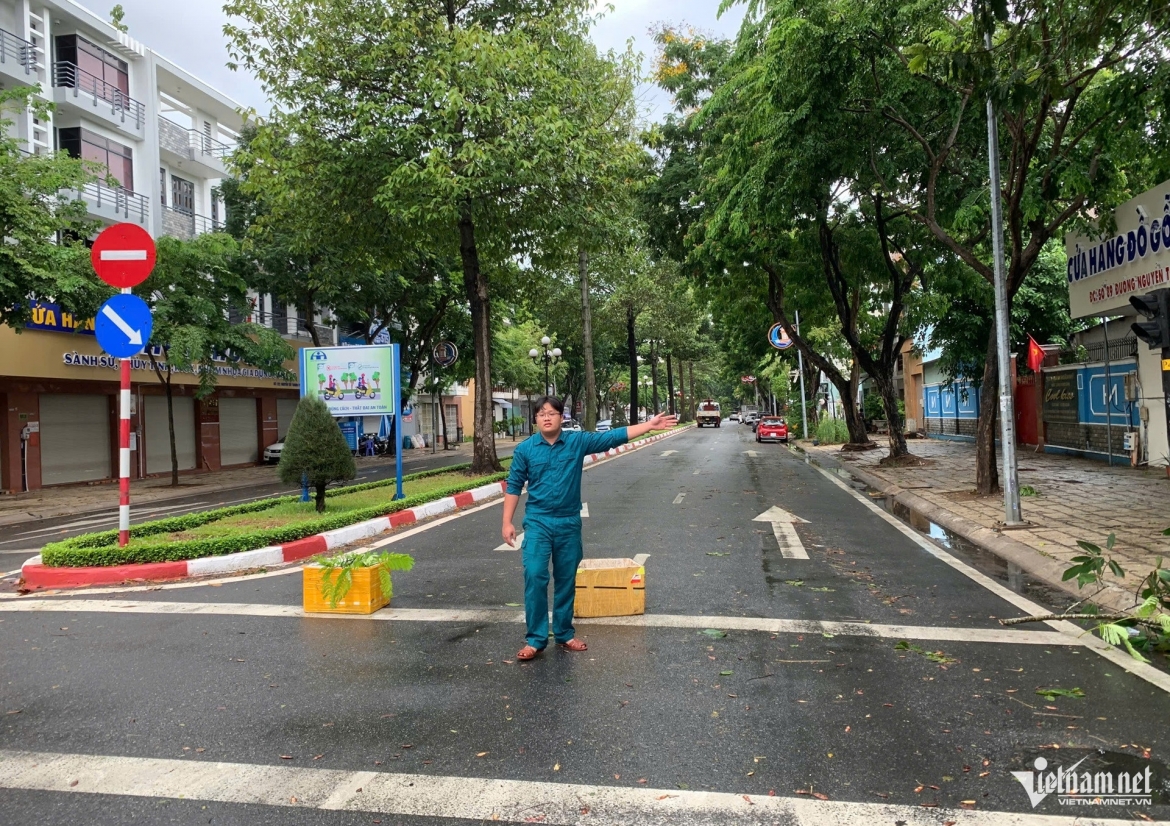 mua gio quat nga nhieu cay xanh, de trung o to o tp.hcm hinh anh 6