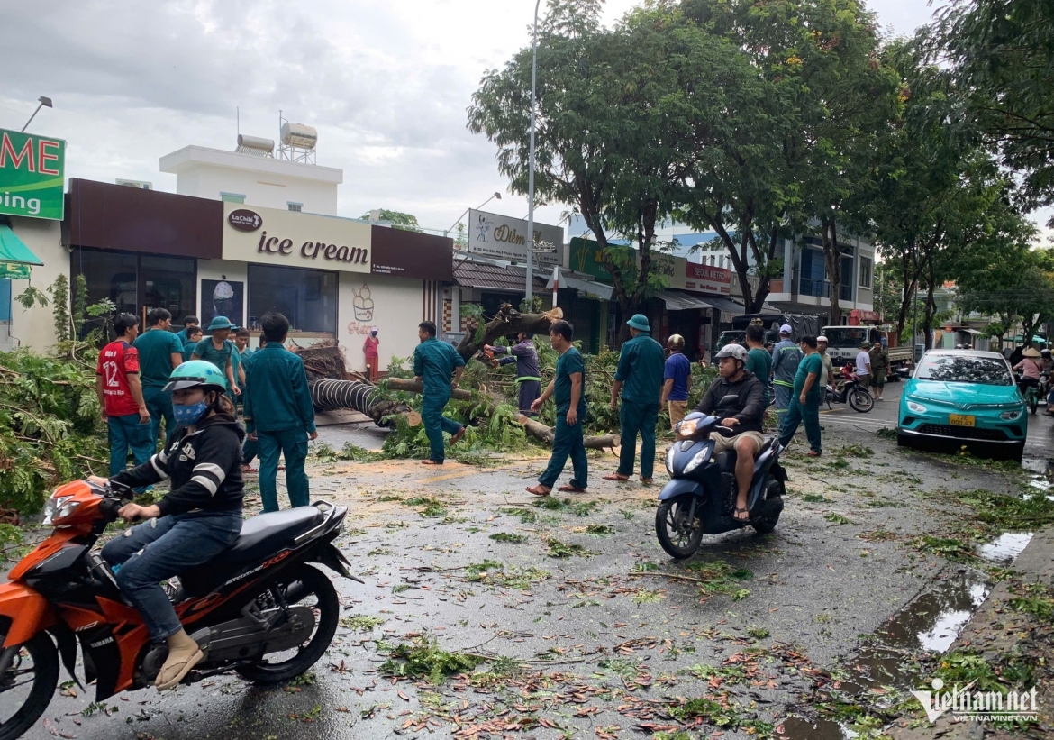 mua gio quat nga nhieu cay xanh, de trung o to o tp.hcm hinh anh 9