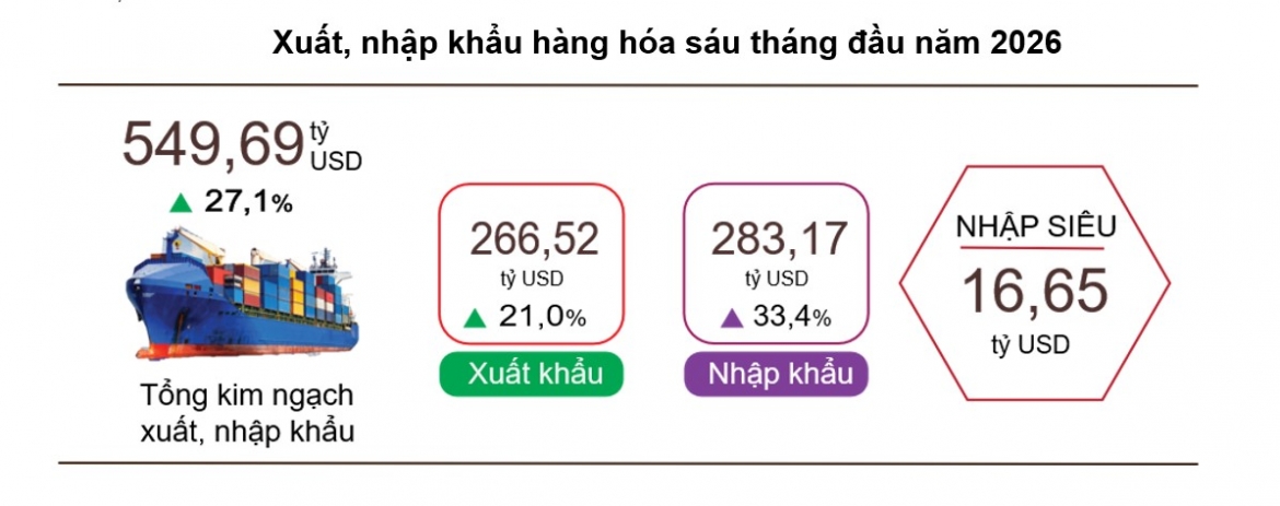 xuat nhap khau 6 thang dat gan 550 ty usd, viet nam nhap sieu 16,65 ty usd hinh anh 1
