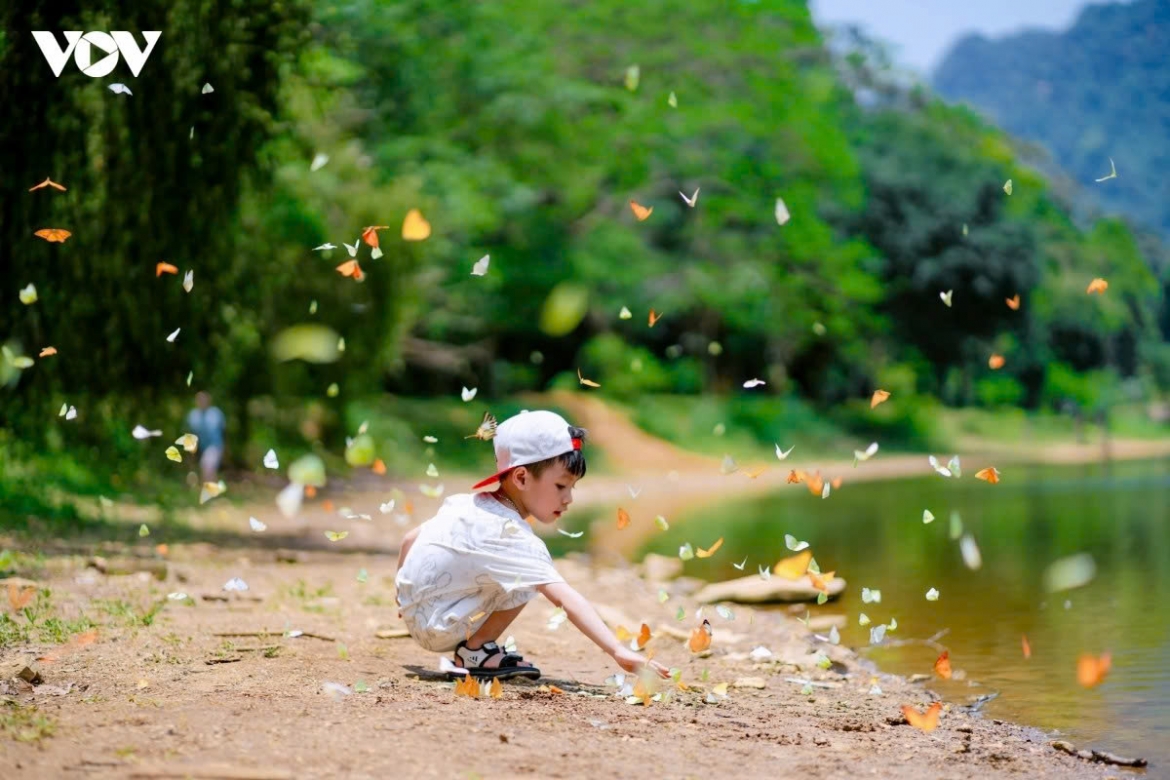 bo nn mt de xuat quan ly 4 vuon quoc gia lien tinh, chuyen cat tien ve dia phuong hinh anh 1