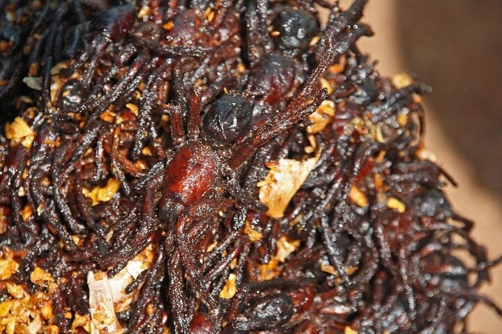 vi sao nguoi campuchia an nhen den nhu mon an vat hinh anh 2