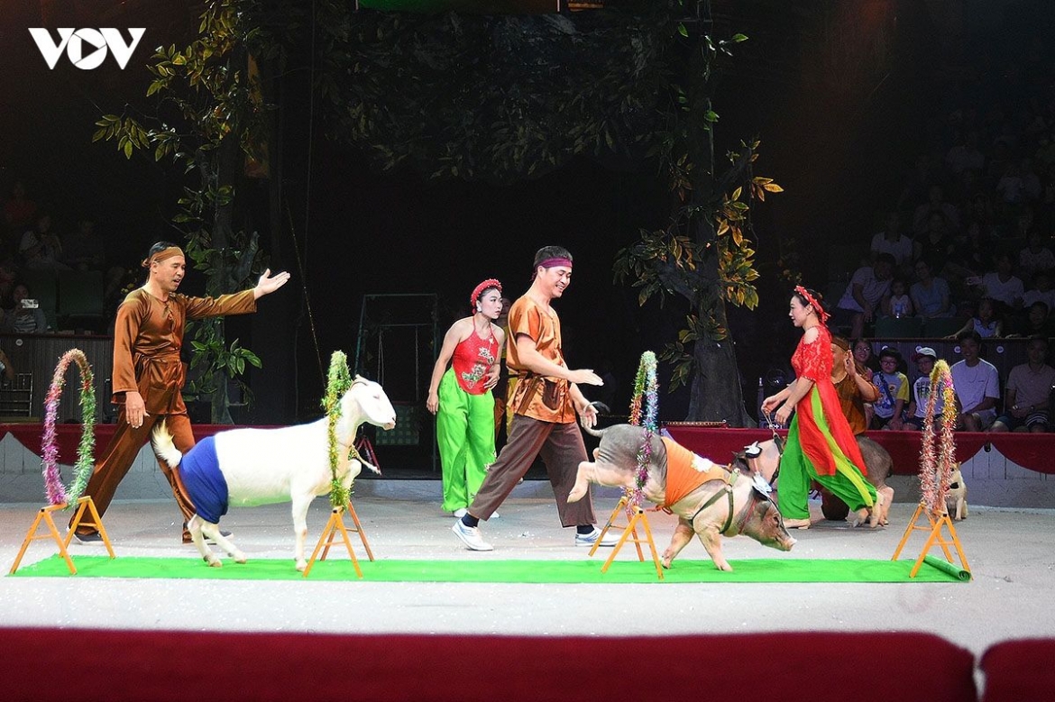 special circus show brings history to life for national day picture 17