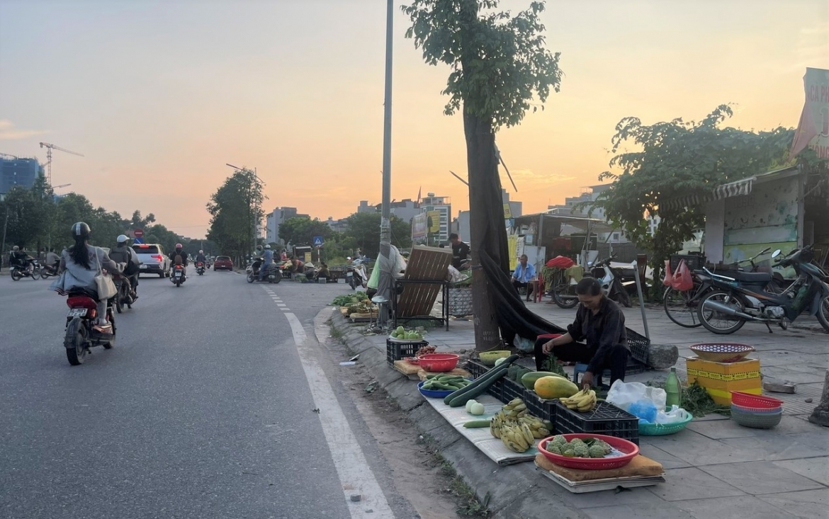 phuong duong noi can xu ly dut diem tinh trang tai lan chiem via he, long duong hinh anh 7