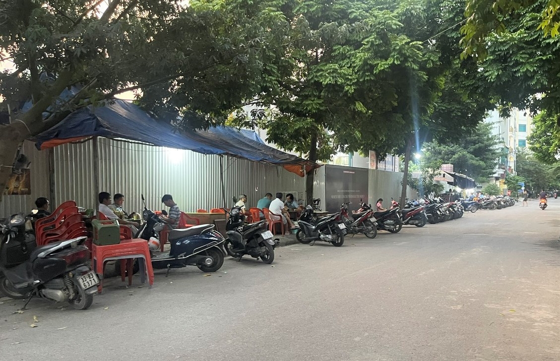 phuong duong noi can xu ly dut diem tinh trang tai lan chiem via he, long duong hinh anh 2