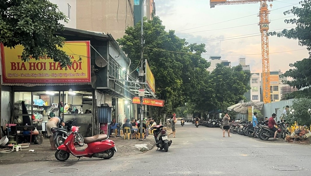 phuong duong noi can xu ly dut diem tinh trang tai lan chiem via he, long duong hinh anh 1