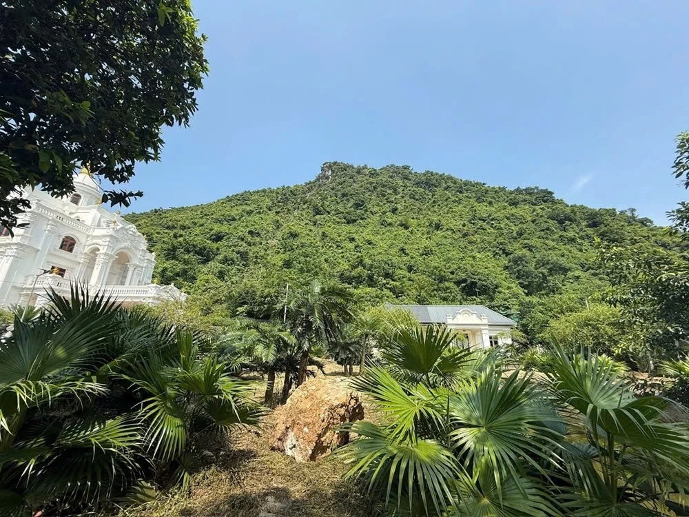 vu da lan pha nha dan o ninh binh van cho co quan chuyen mon lam ro nguyen nhan hinh anh 1