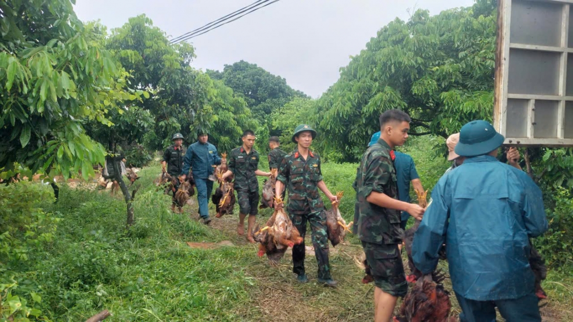 bac ninh di doi 58 ho dan, huy dong hon 800 nguoi ung pho mua lu tai xa kep hinh anh 2