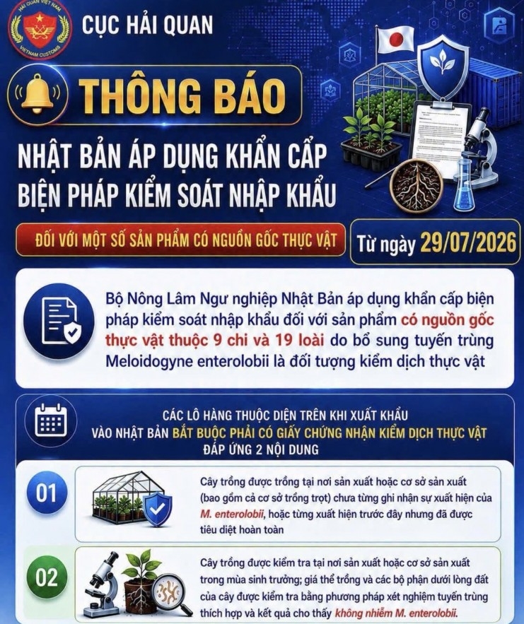 hai quan canh bao quy dinh moi cua nhat ban doi voi hang nong san xuat khau hinh anh 1