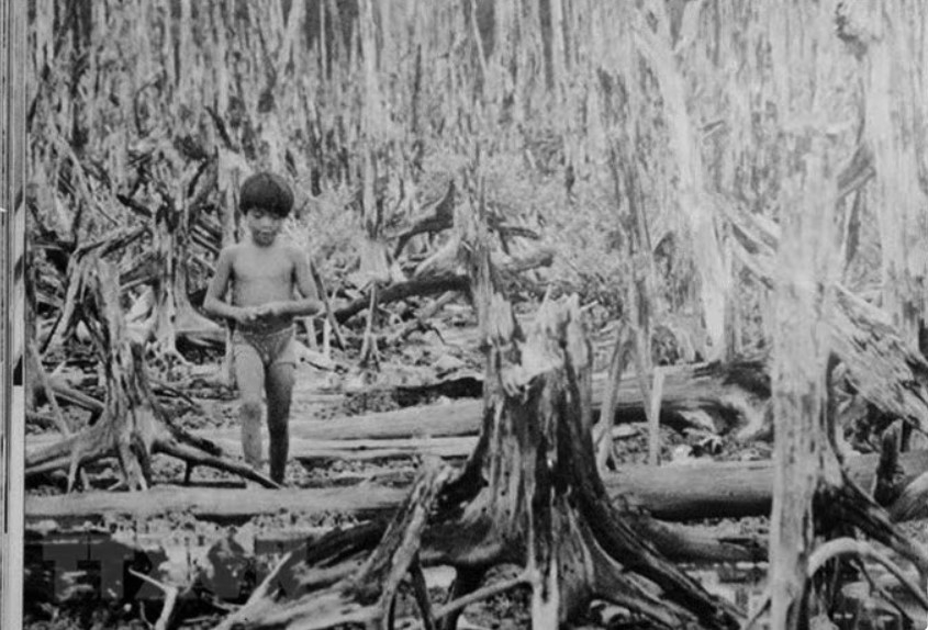 65 years since agent orange disaster vietnam steps up long-term victim support picture 1