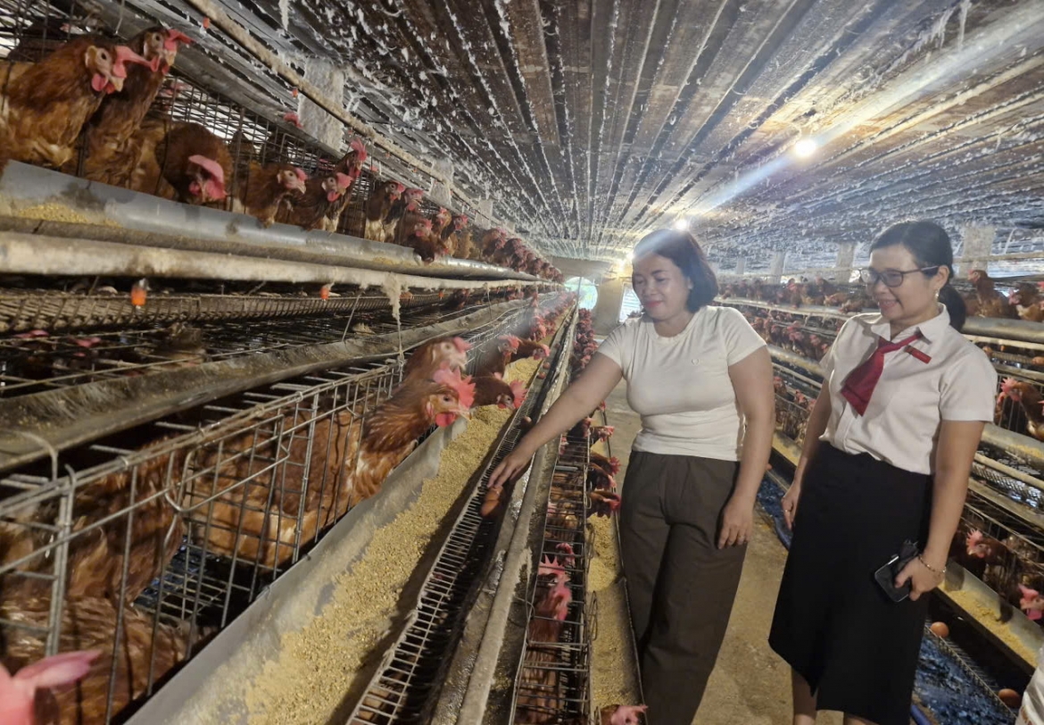 Đà Nẵng: Nông dân ở Đại Lộc vươn lên thoát nghèo nhờ nguồn vốn Agribank