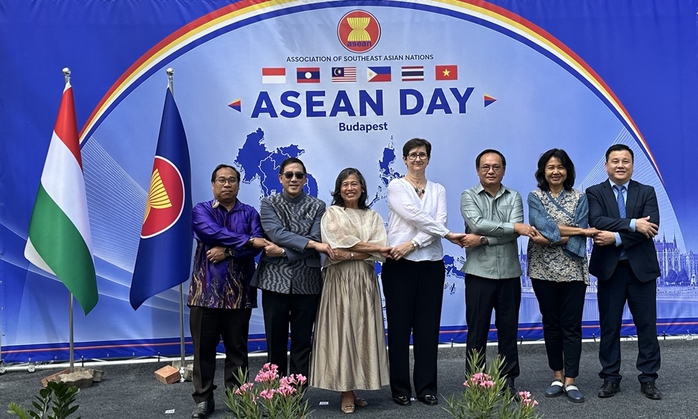 that chat doan ket, hop tac huong toi mot cong dong asean tu cuong va ben vung hinh anh 2