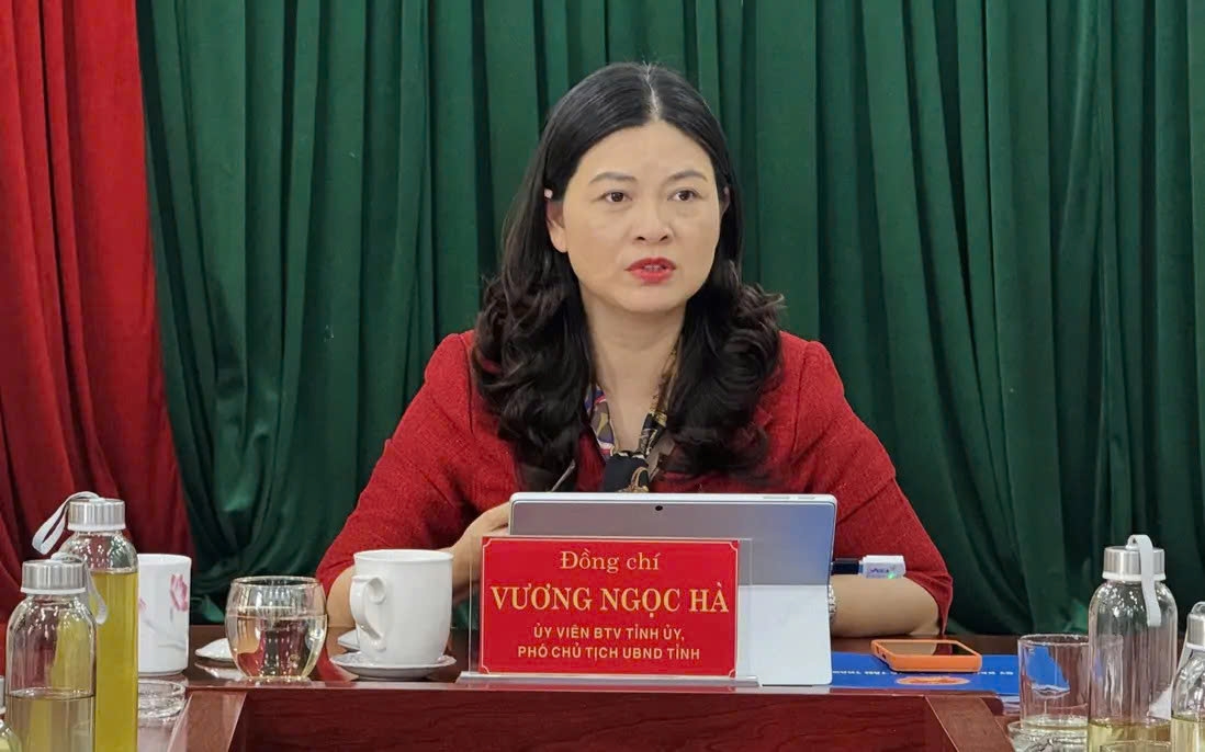 ba vuong ngoc ha thoi phu trach linh vuc giao duc tinh tuyen quang hinh anh 1