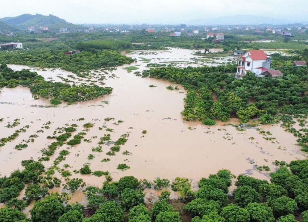 bac ninh bao dong so i tren song cau, hang nghin ha lua, hoa mau bi lu nhan chim hinh anh 2