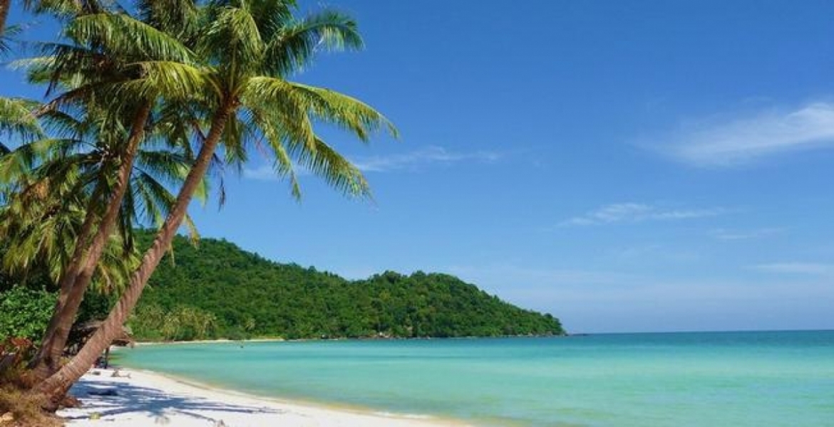 phu quoc s starfish ranked 12th among world s 50 best beaches picture 1