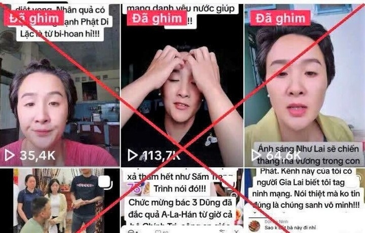 bat giam nu tiktoker phuong nguyen hinh anh 2