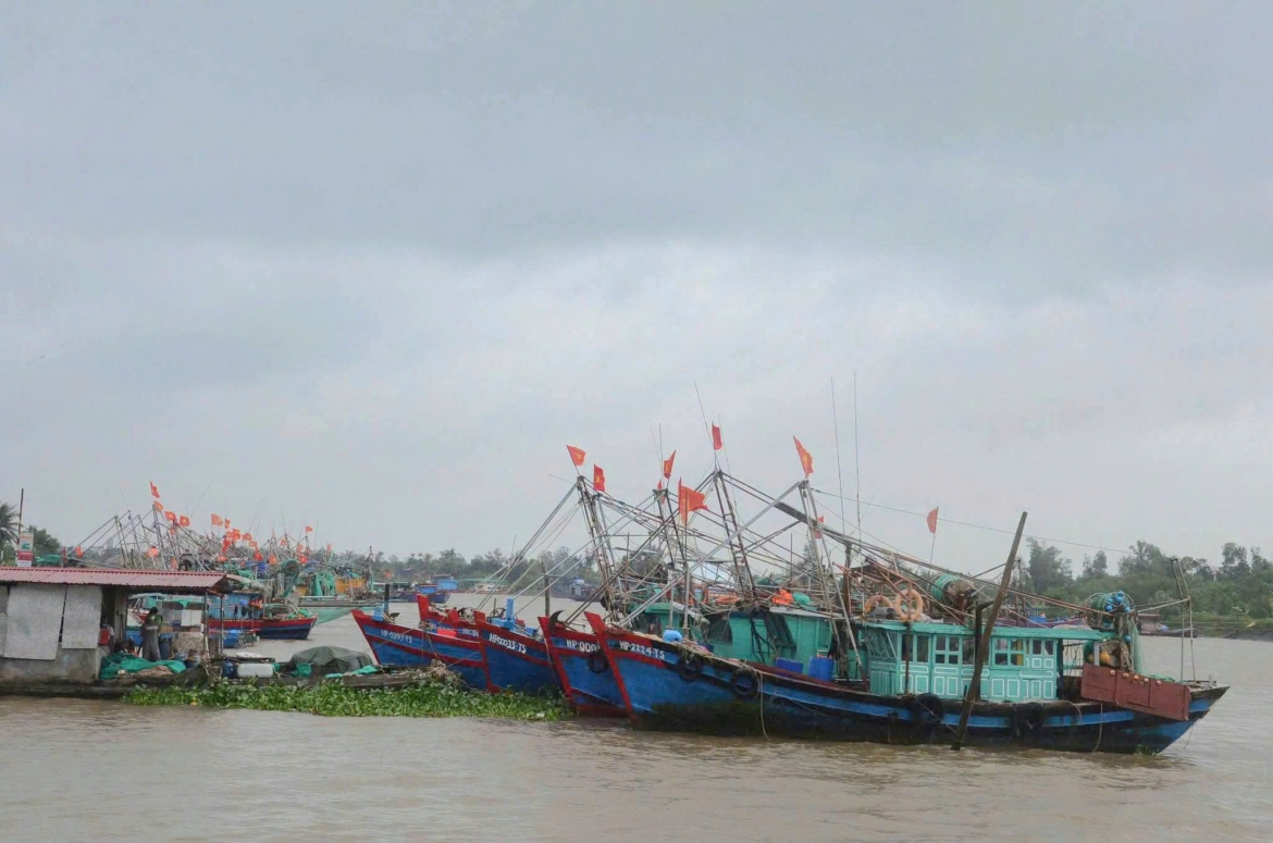hai phong bao dam an toan tau thuyen tai noi neo dau hinh anh 2
