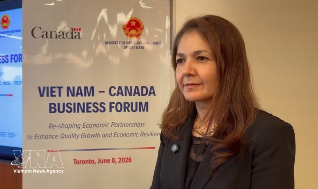 diplomatic conference vietnam s foreign policy wins praise from canadian expert picture 1