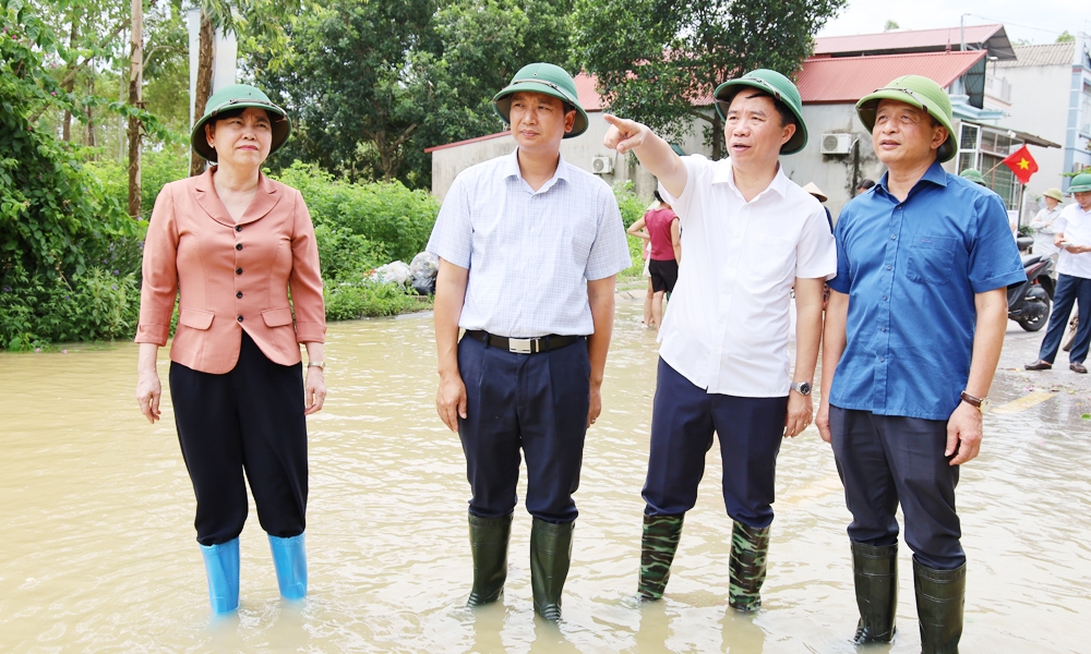 Dat nui sat lo lam do sap nha dan o bac ninh hinh anh 3