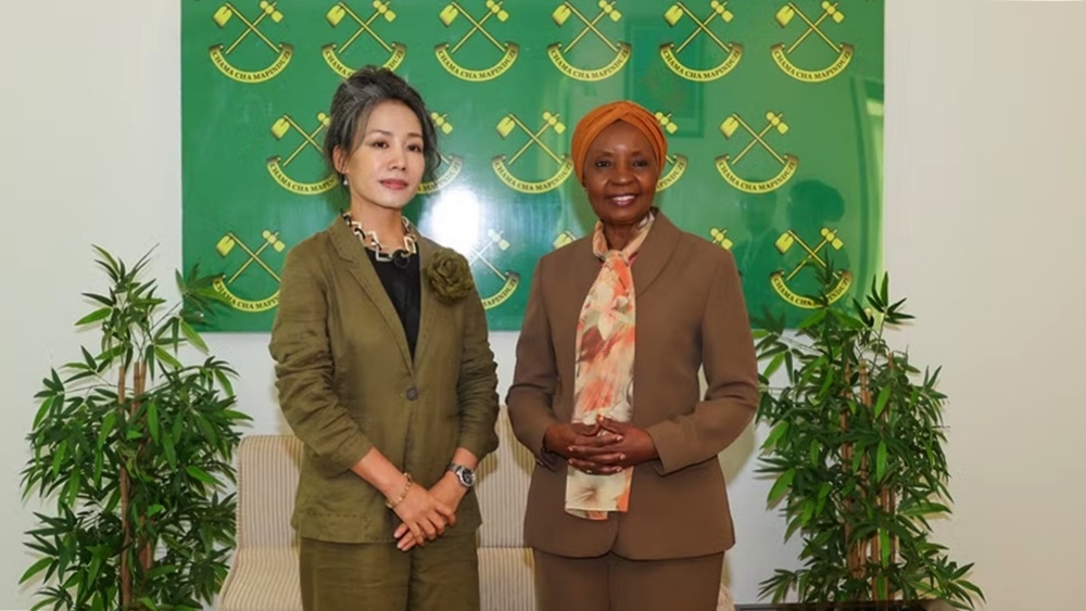 ngoai giao van hoa mo rong khong gian hop tac viet nam - tanzania hinh anh 1