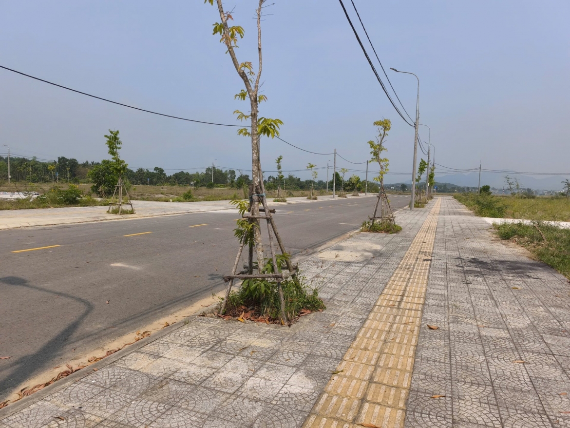 soi du lieu, dua dat dai ve dung gia tri hinh anh 1