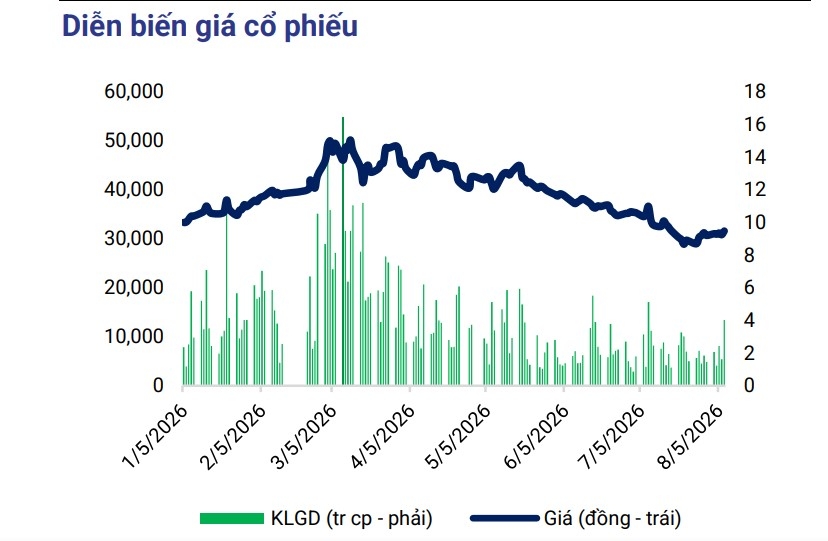 mot so co phieu can quan tam 11 8 co hoi tiem nang voi elc va dcm hinh anh 2