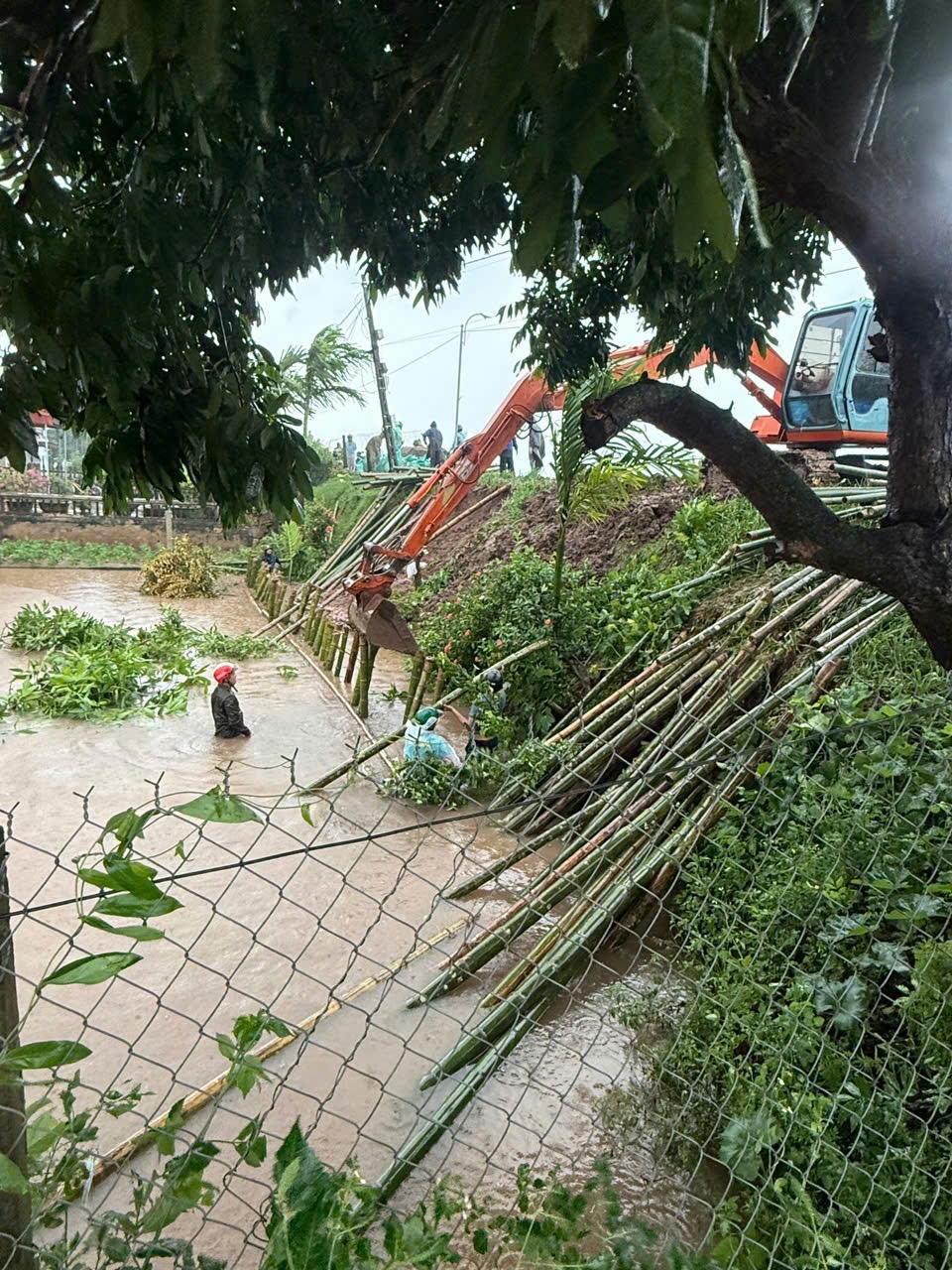 Khẩn trương khắc phục sạt lở đê Hữu Đáy tại Định Hóa, Ninh Bình