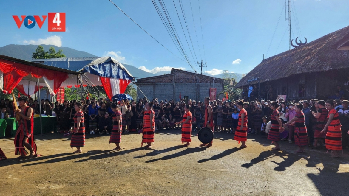 yeu nhau qua nhung cuoc di sim hinh anh 1