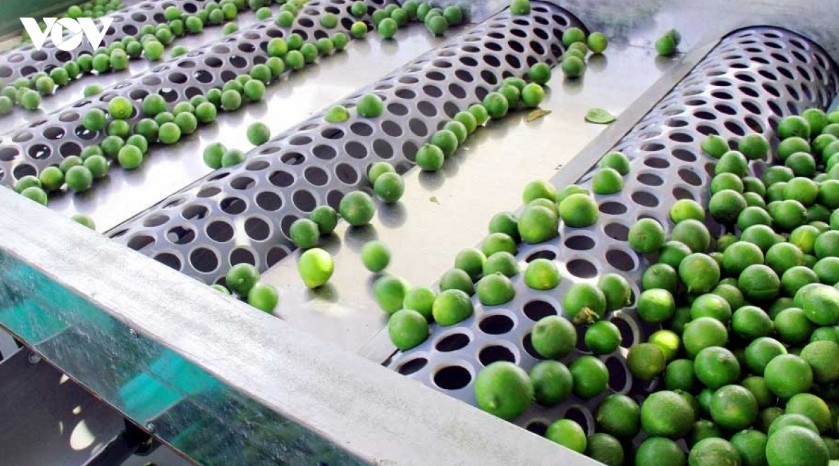 digital technology opens the way for high-value agricultural exports picture 1